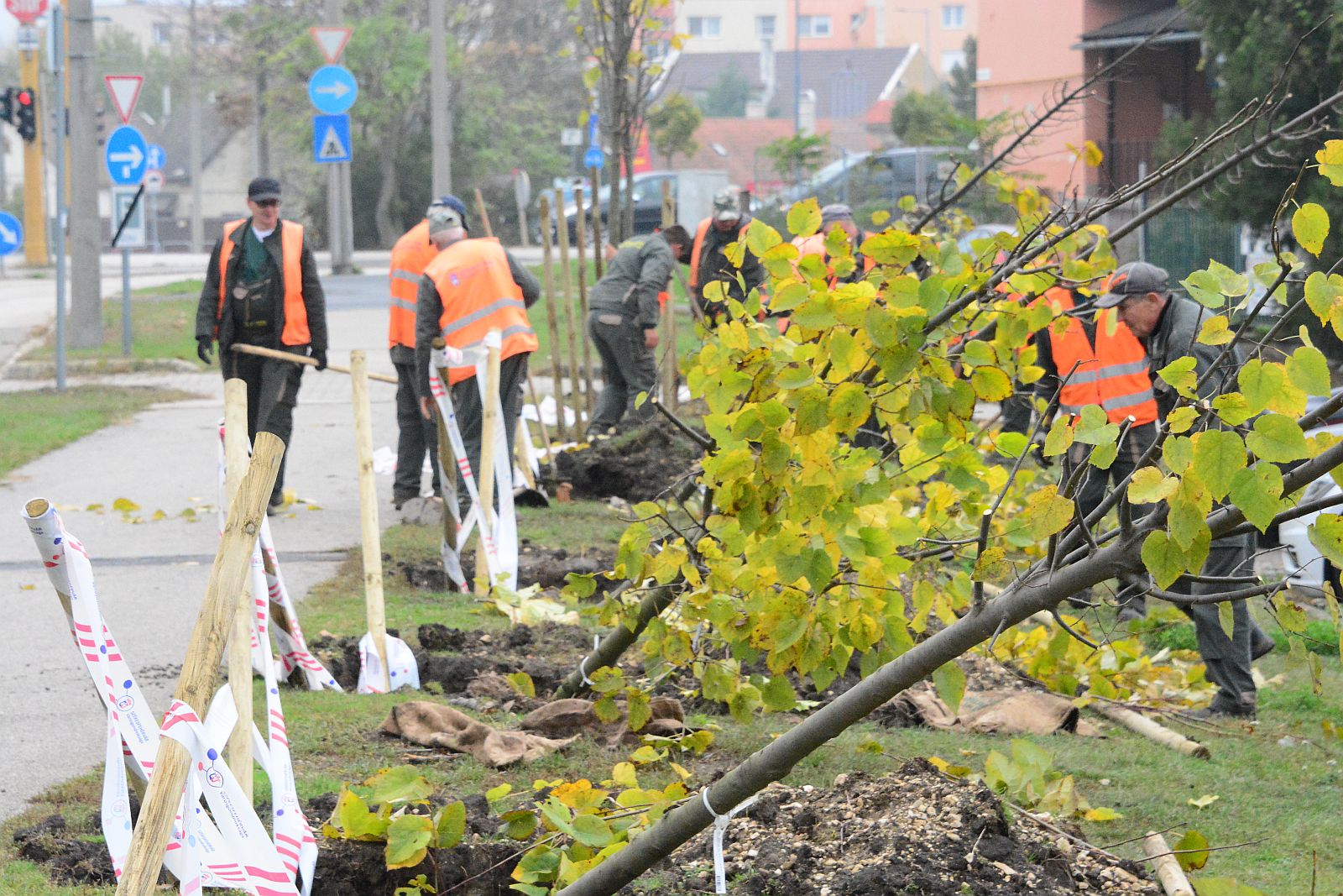 Elkzdődtek a faültetések a városban Székesfehérváron