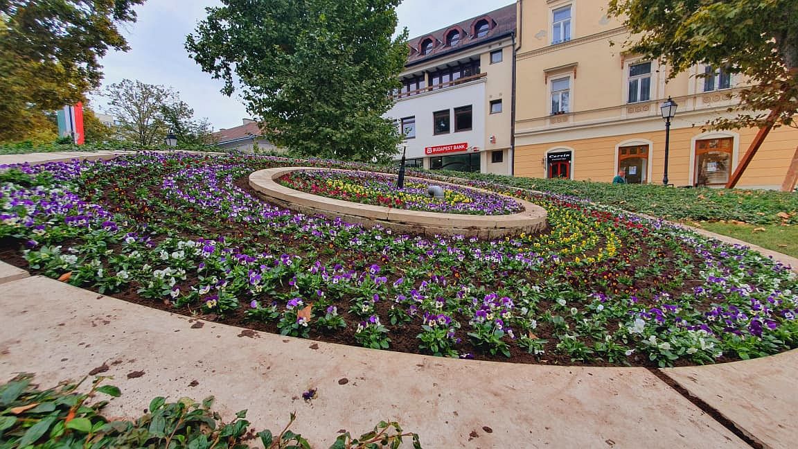 Mintegy 78 ezer tő virágot ültetnek a napokban a kertészek városszerte