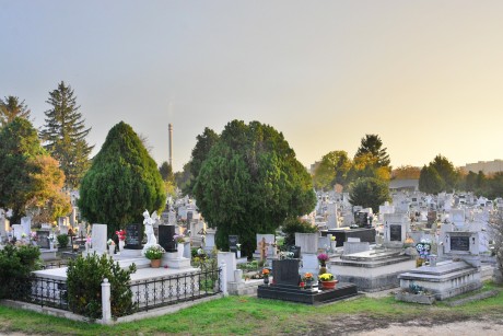 Érdemes ellenőrizni a sírhelyek rendelkezési jogának érvényességét