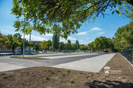 33 nagy fát ültetünk csütörtökön és pénteken az új kórház parkolóban