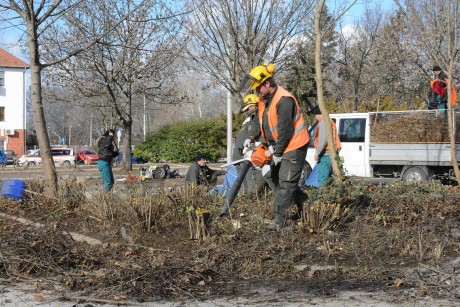 Városszerte elkezdtük a tél végi parkfenntartási munkákat