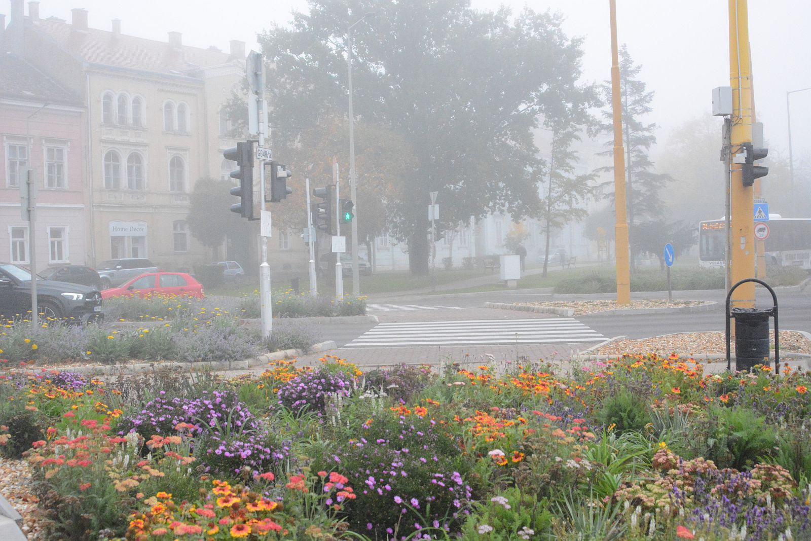 Évelő növényekből álló dús kertek lesznek a fehérvári körforgalmakban