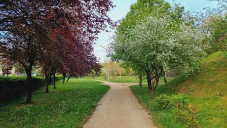 Tematikus tanösvényt alakítanak ki még tavasszal a Rác bányában