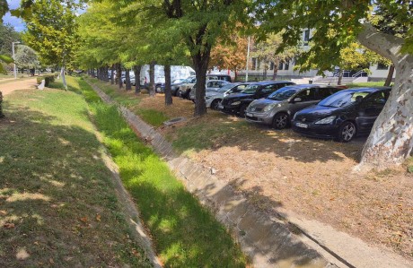 Csütörtökön kotorják a Malom csatorna medrét